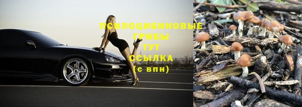 скорость Абинск