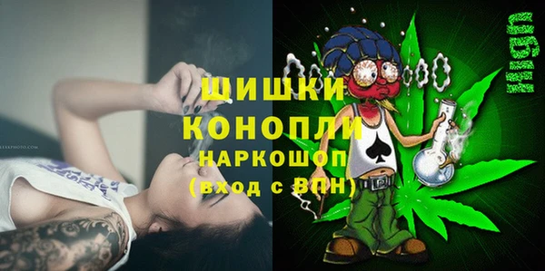стаф Дрезна
