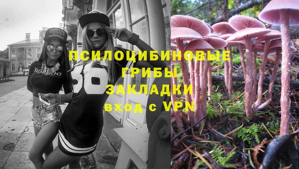 стафф Снежинск